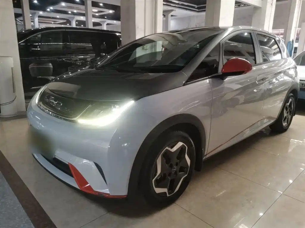 BYD Dolphin 2021 405km Fashion