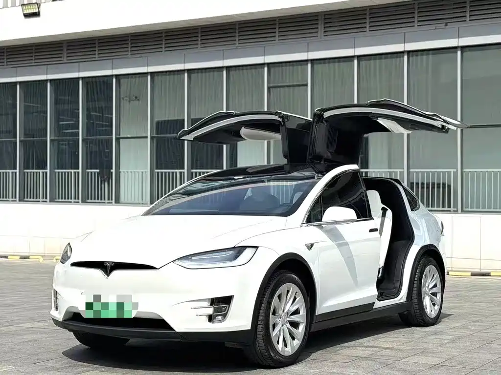 Tesla Model X 2020