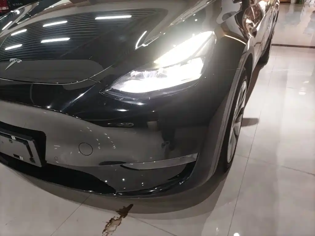 Tesla Model Y — миниатюра 24