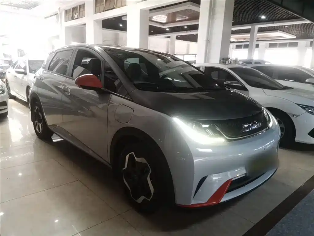 BYD Dolphin 2021 405km Fashion