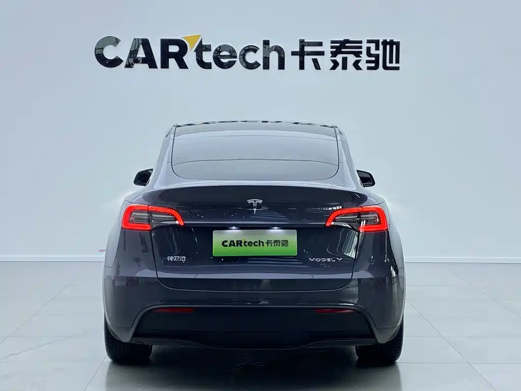 Tesla Model Y — миниатюра 5