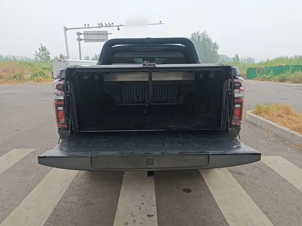 Great Wall Pao — миниатюра 19