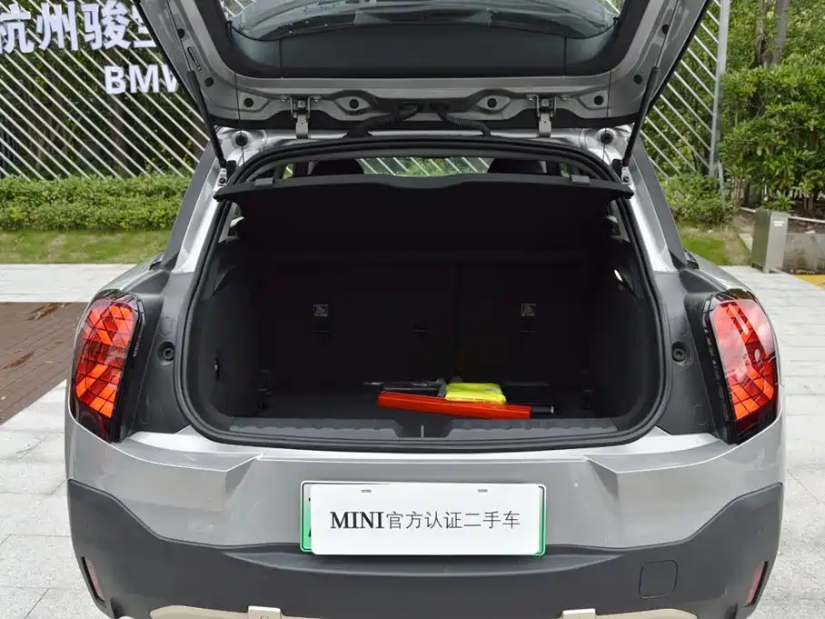 MINI MINI ACEMAN EV — миниатюра 6
