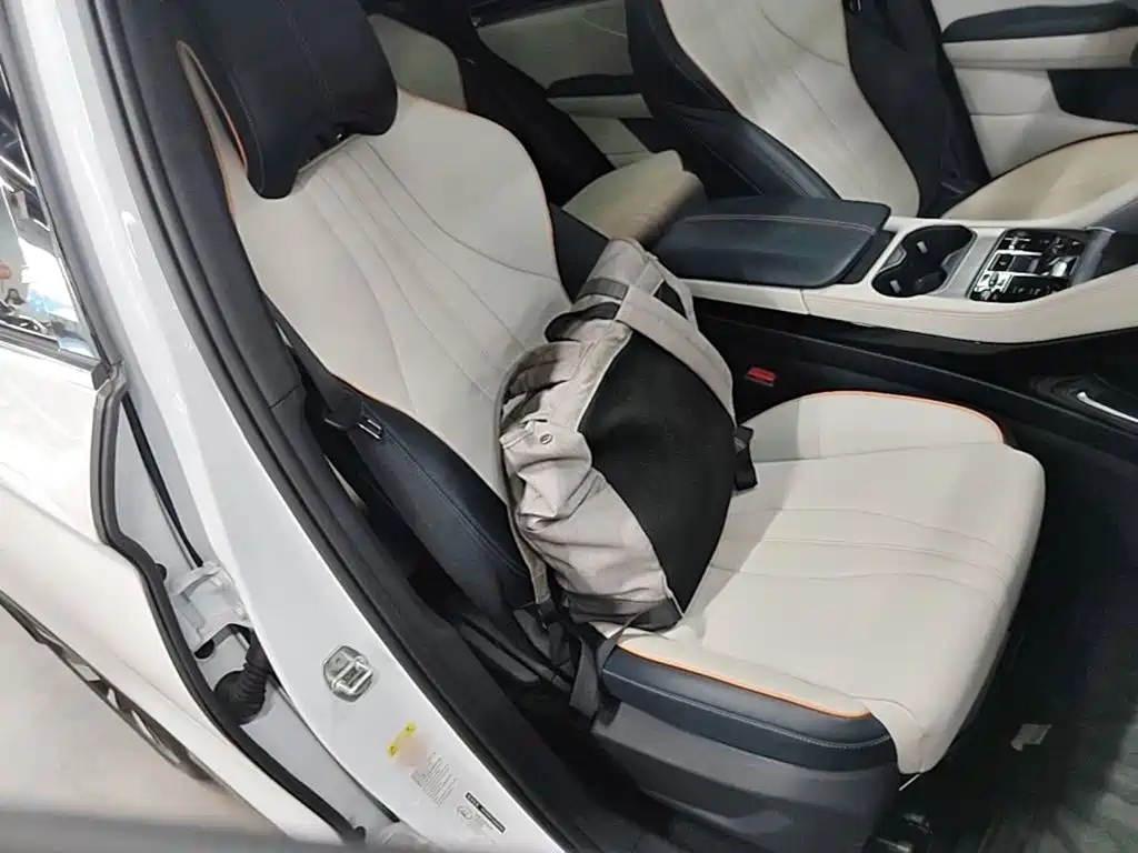 BYD PLUS New Energy — миниатюра 25