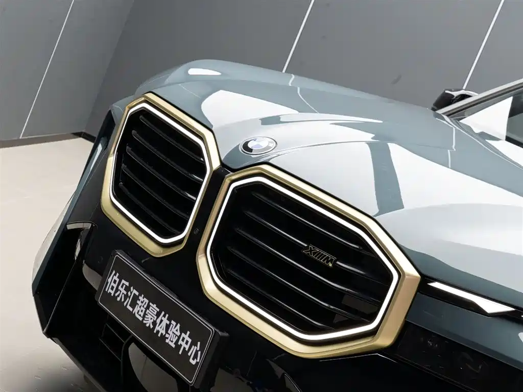 BMW XM