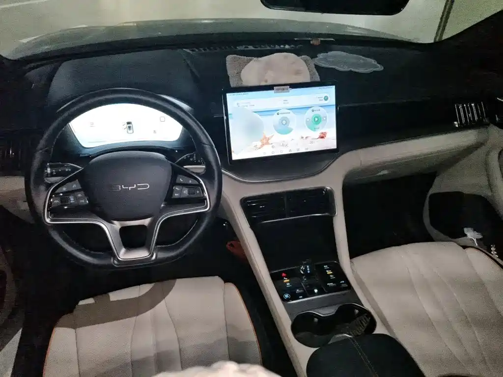 BYD PLUS New Energy — миниатюра 5