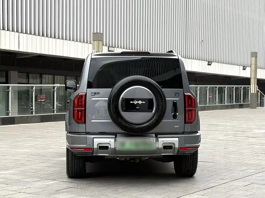 FANG CHENG BAO LEOPARD 5