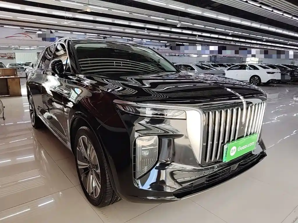 Hongqi Hongqi E-HS9 — миниатюра 4