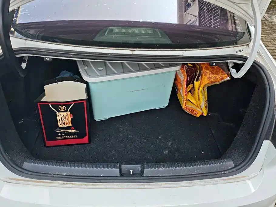 Volkswagen Sagitar — миниатюра 4