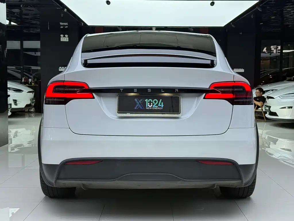 Tesla Model X — миниатюра 5