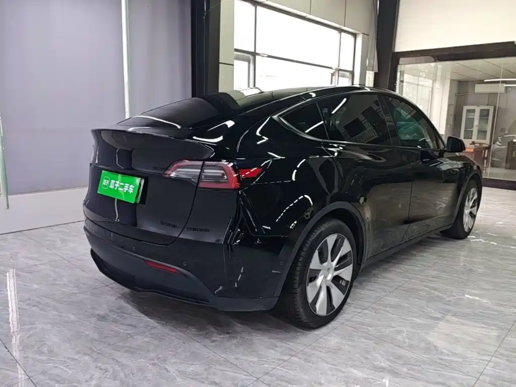 Tesla Model Y — миниатюра 7