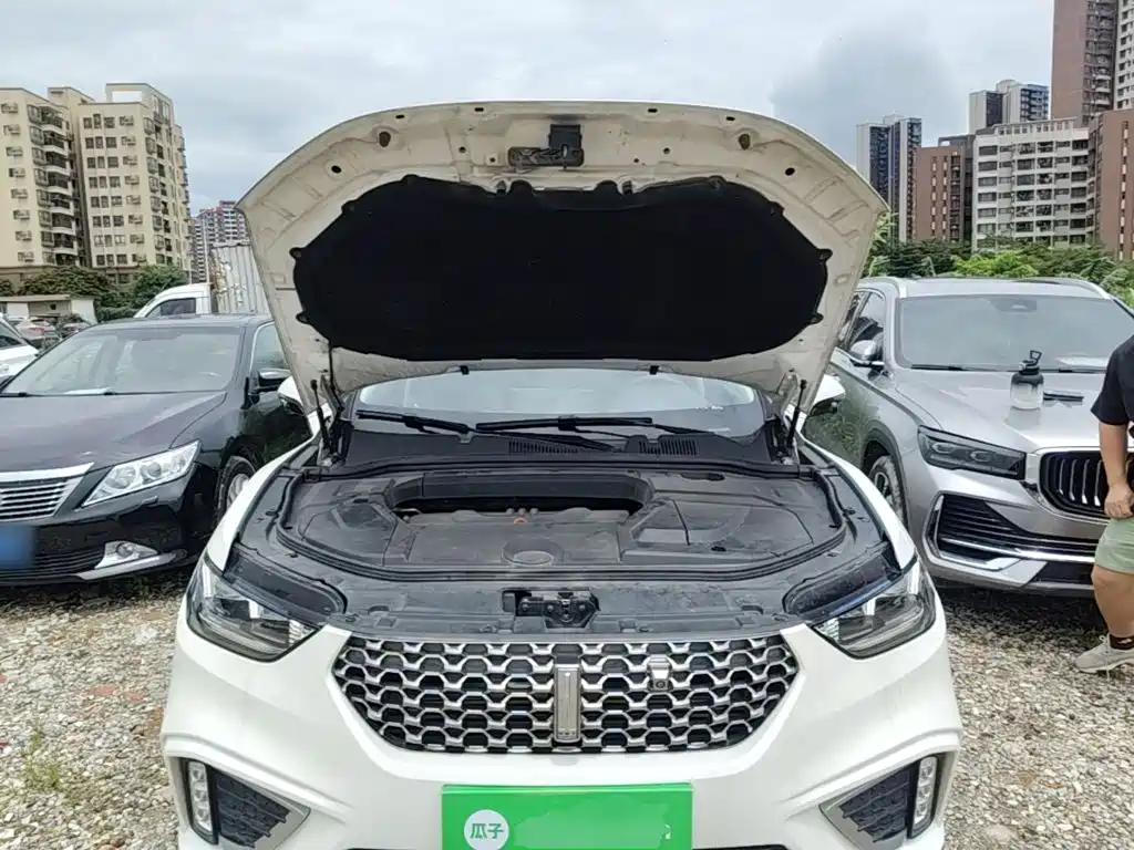 Wey Wey VV5 — миниатюра 20