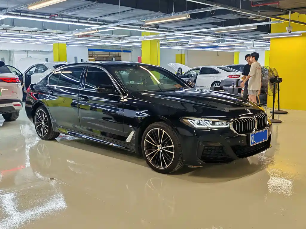 BMW 5 Series — миниатюра 5