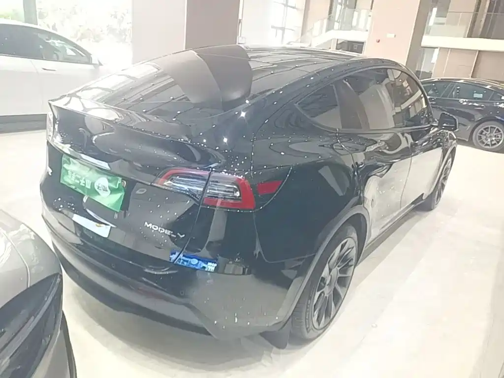Tesla Model Y — миниатюра 7