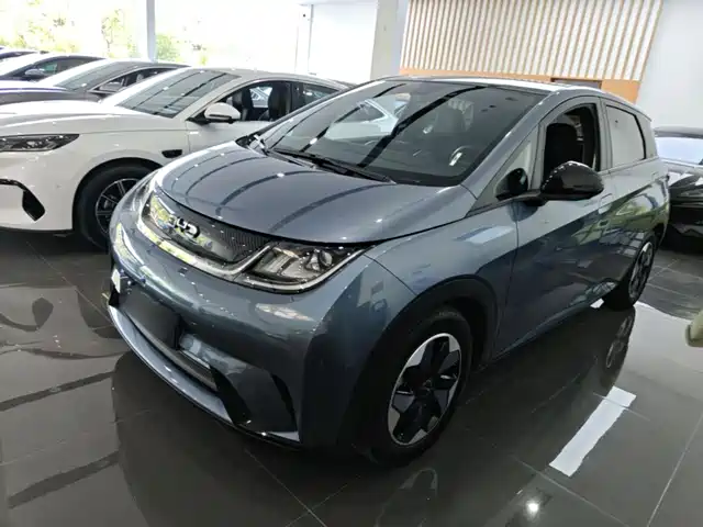 2024 BYD Dolphin