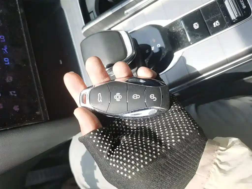 Hongqi HS7 PHEV 2024 2.0T PHEV 7 мест