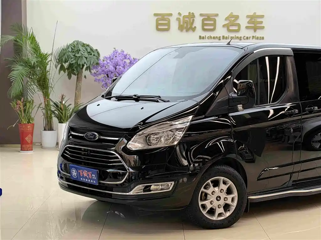 Ford Tourneo — миниатюра 2