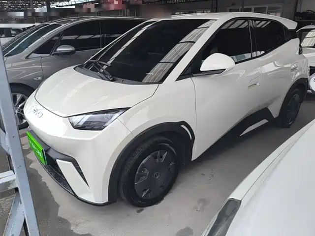 2024 BYD Seagull