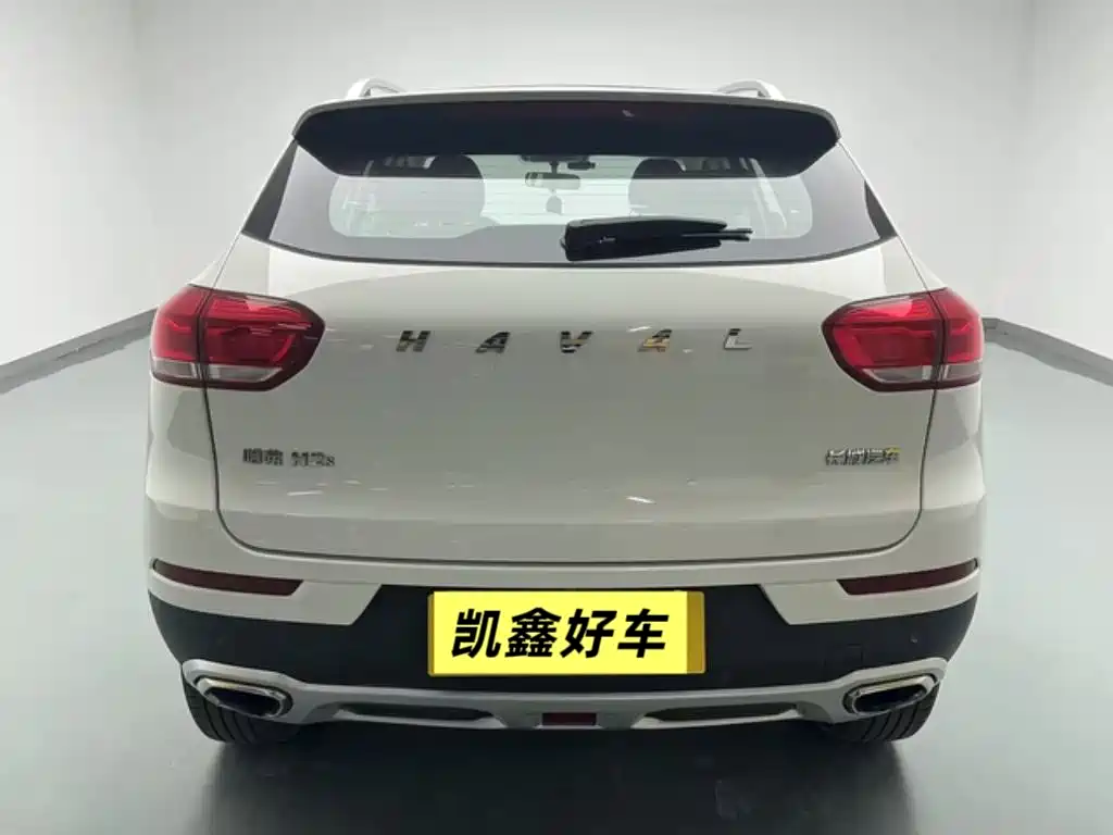 HAVAL H2S