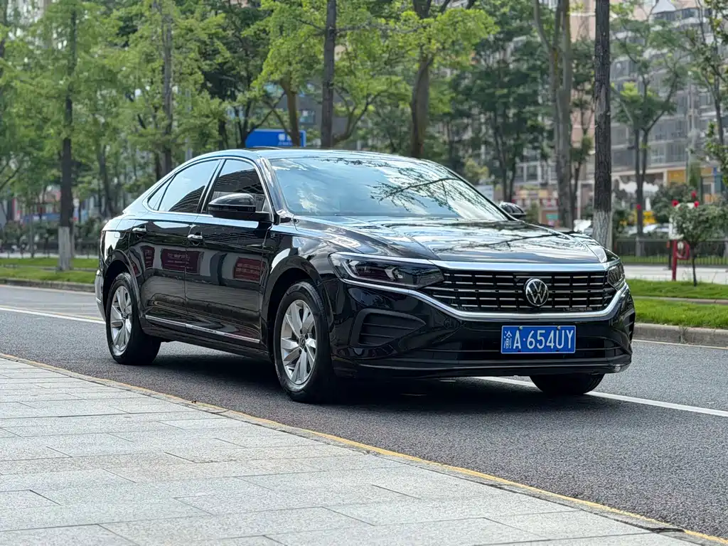 Volkswagen Passat — миниатюра 3
