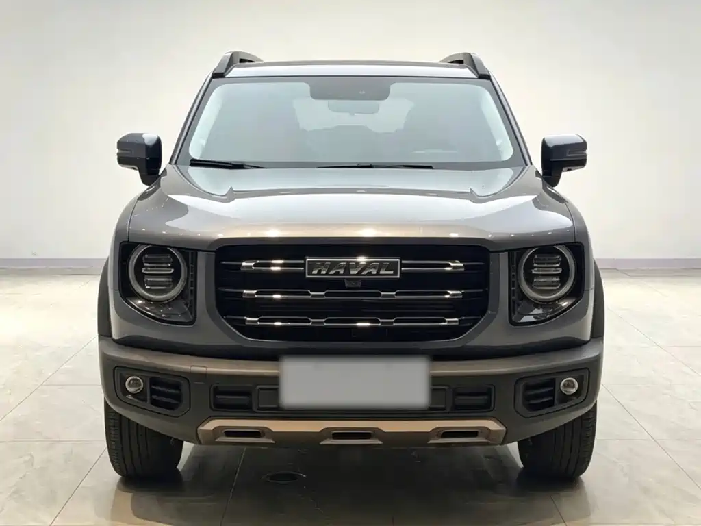 Haval Big Dog — миниатюра 2