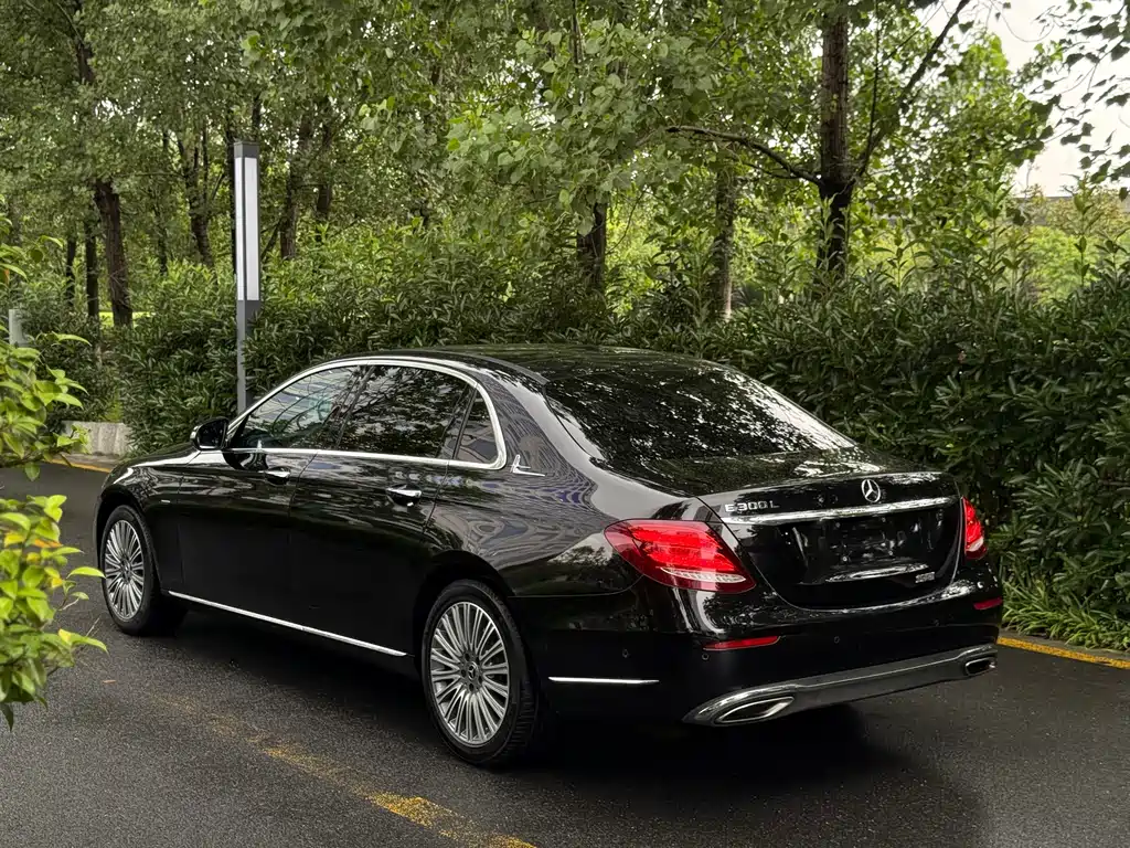 Mercedes-Benz E-Class E 2020 E 300 L