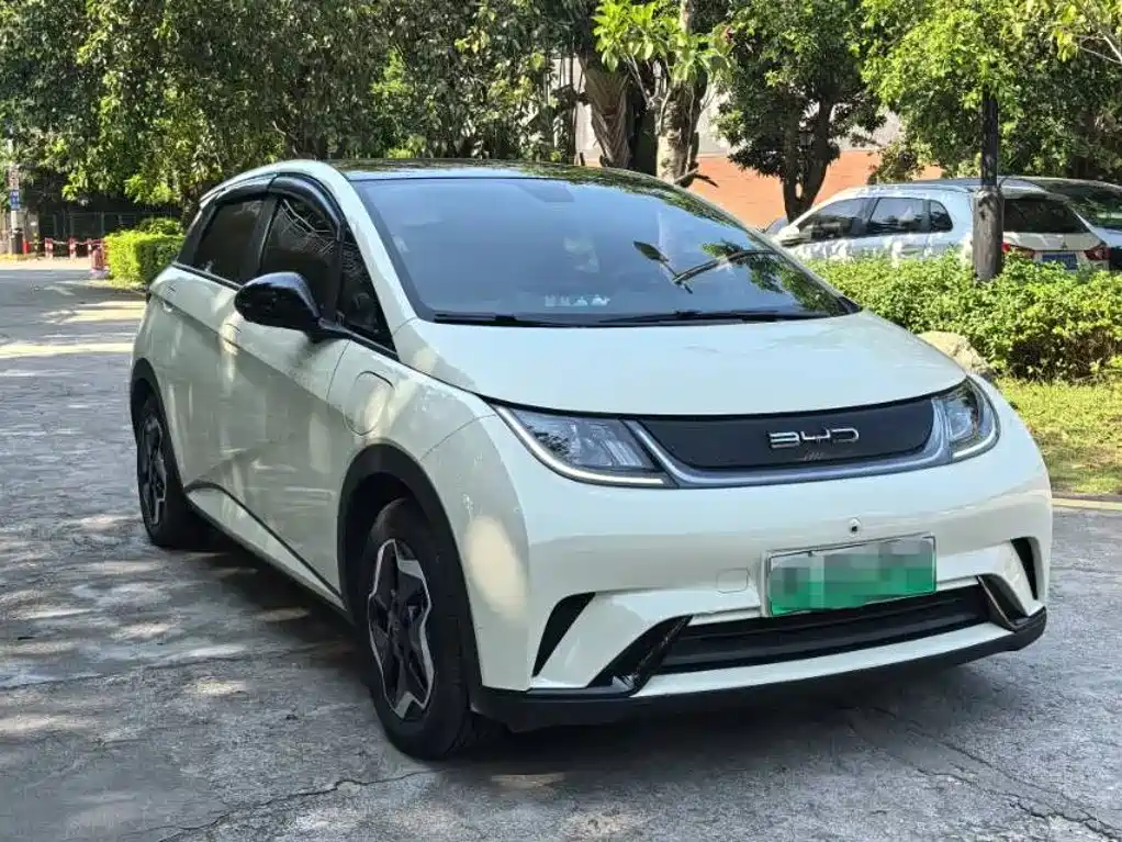 BYD Dolphin — миниатюра 3