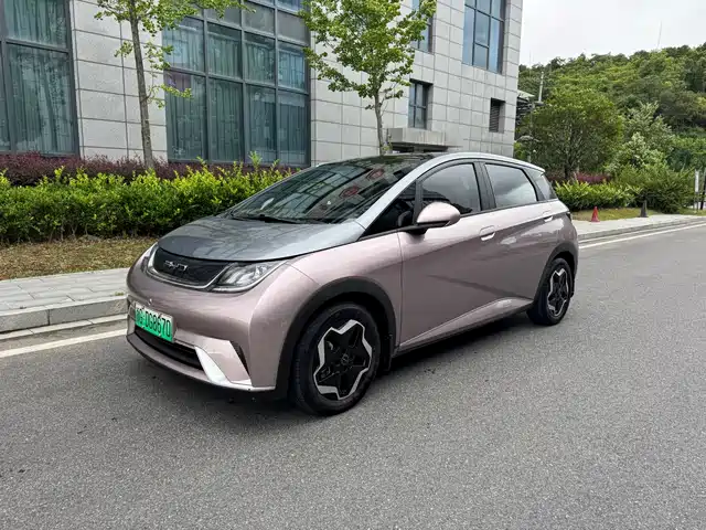 2022 BYD Dolphin