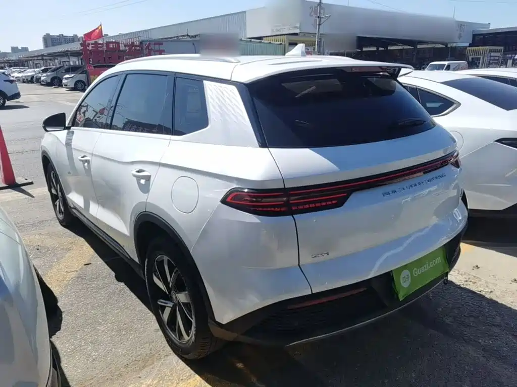 BYD Pro New Energy — миниатюра 5