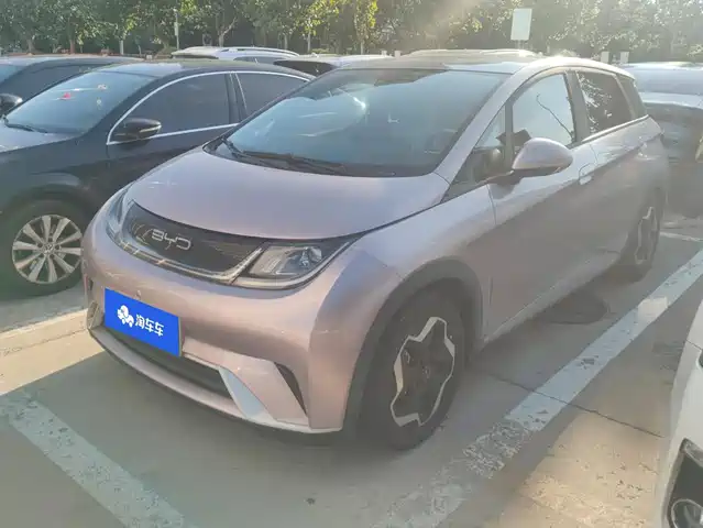 BYD 海豚