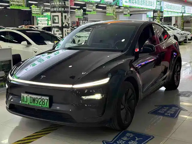 TESLA MODEL Y 2025