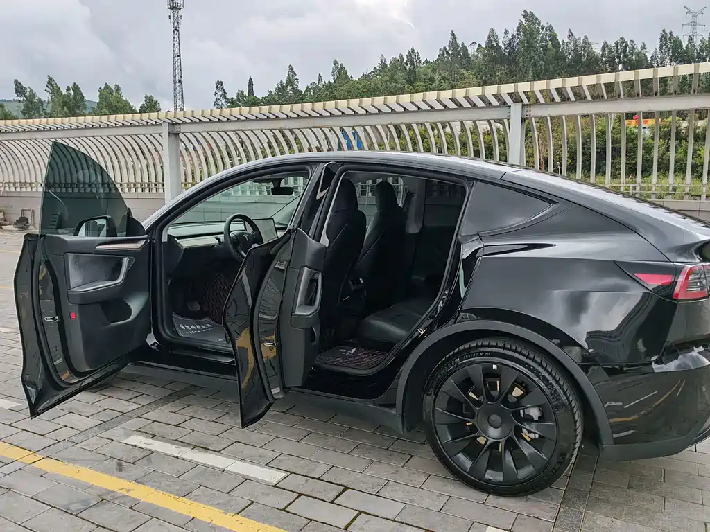 Tesla Model Y — миниатюра 20