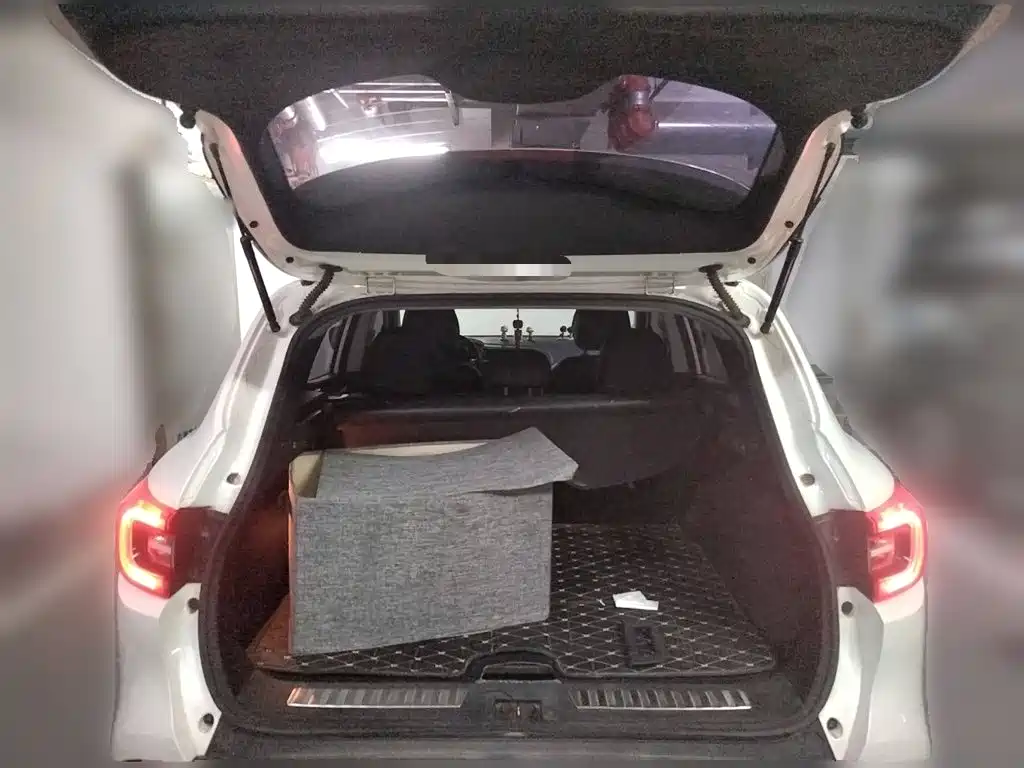 Renault Kadjar — миниатюра 15