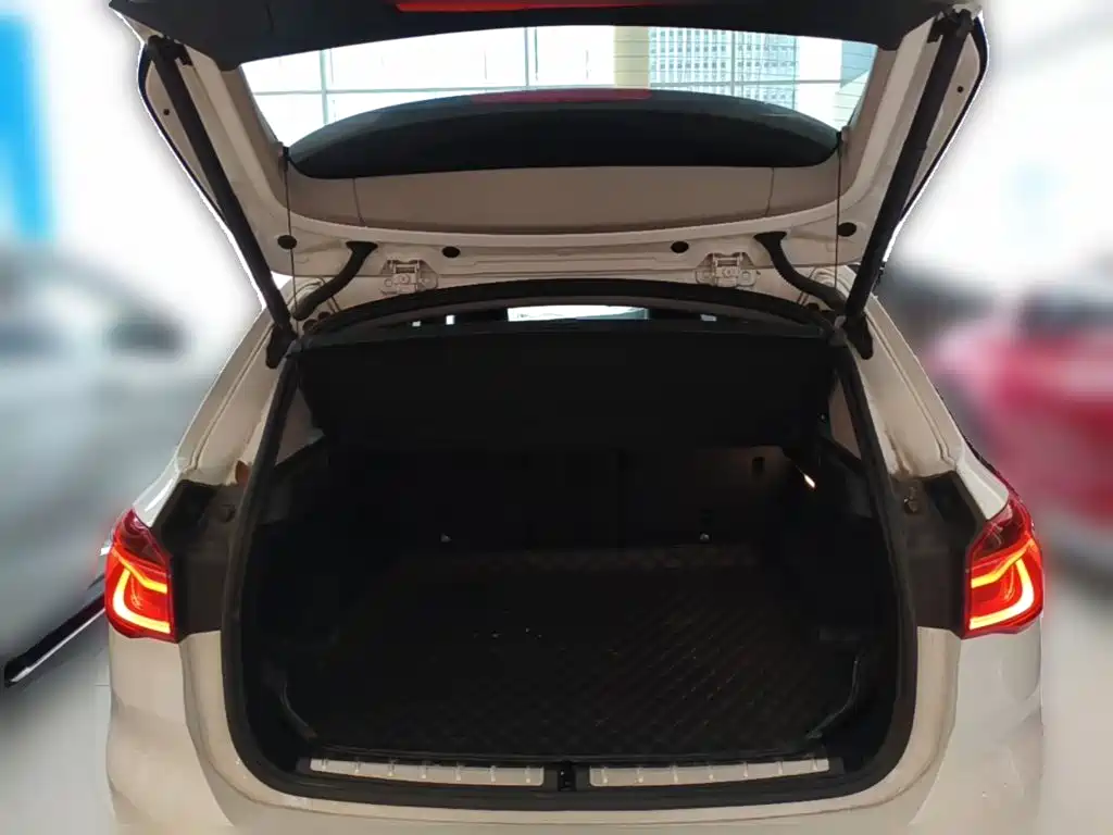 BMW X1 — миниатюра 24