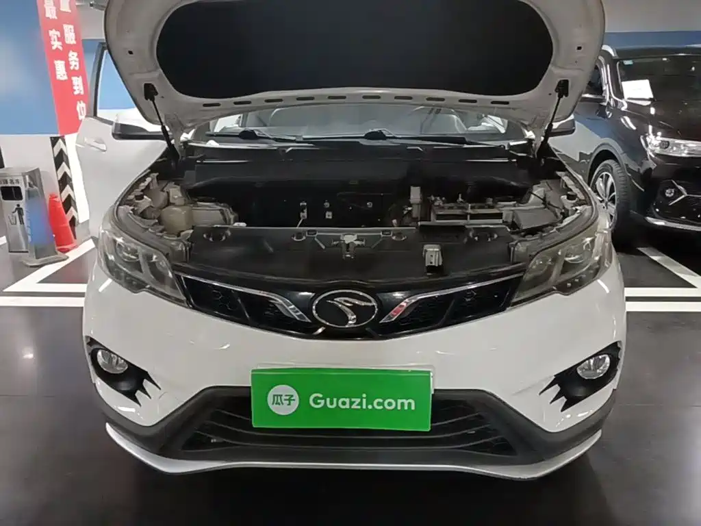 Soueast DX3 — миниатюра 20