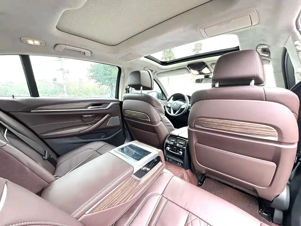 BMW 5 Series 5 2020 530Li Premium Luxury
