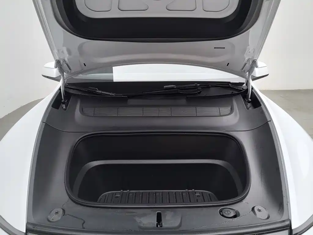 Tesla Model Y — миниатюра 6