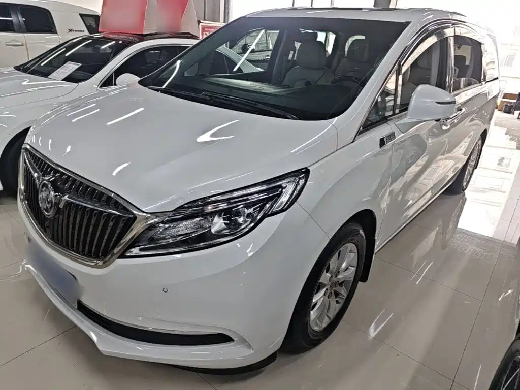 Buick GL8 — миниатюра 2