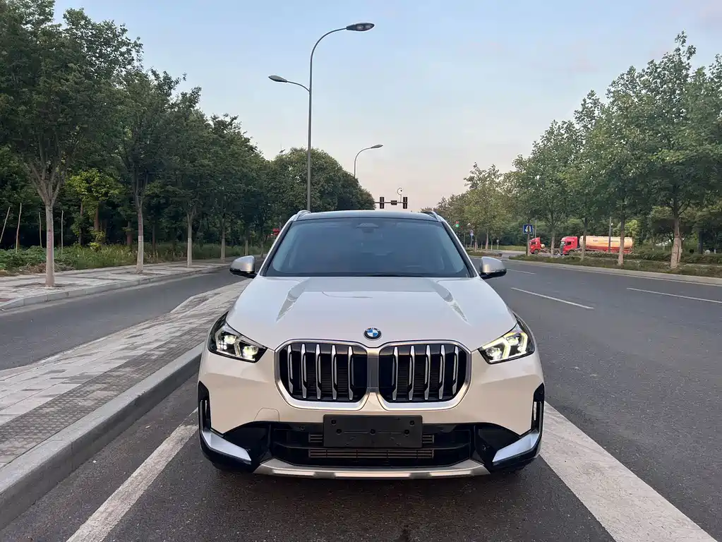 BMW X1 — миниатюра 2