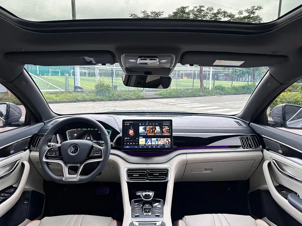 BYD PLUS New Energy — миниатюра 12
