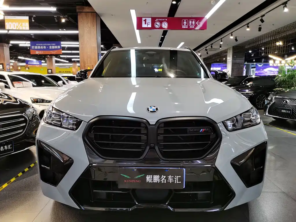 BMW X5 M — миниатюра 2