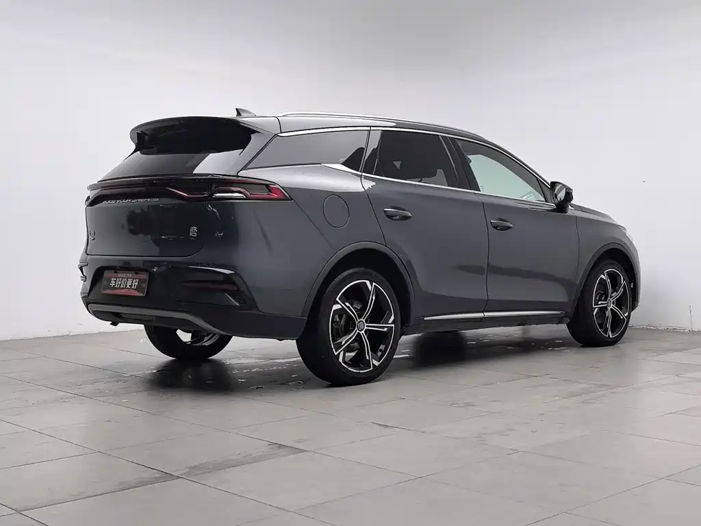 BYD Tang New Energy — миниатюра 2