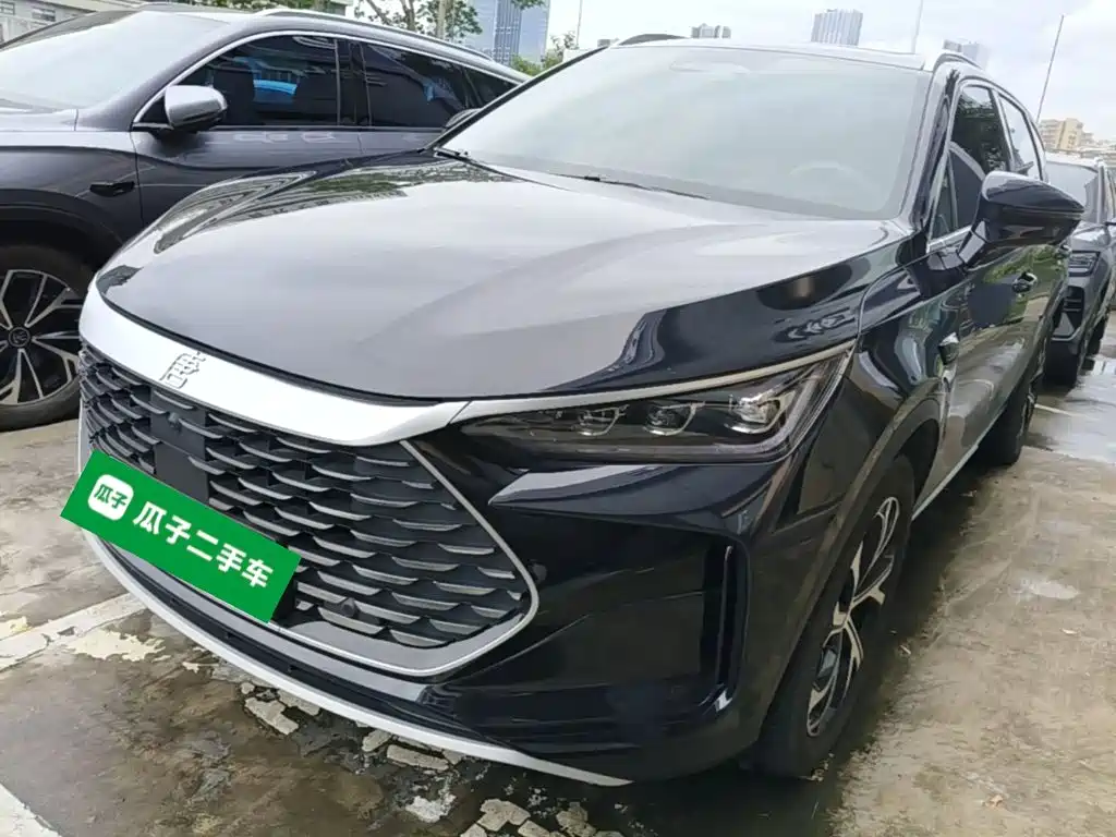 BYD Tang New Energy — миниатюра 2
