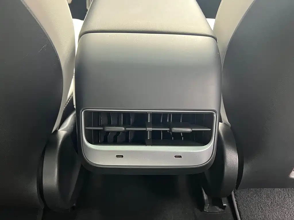 Tesla Model 3 2021 Performance
