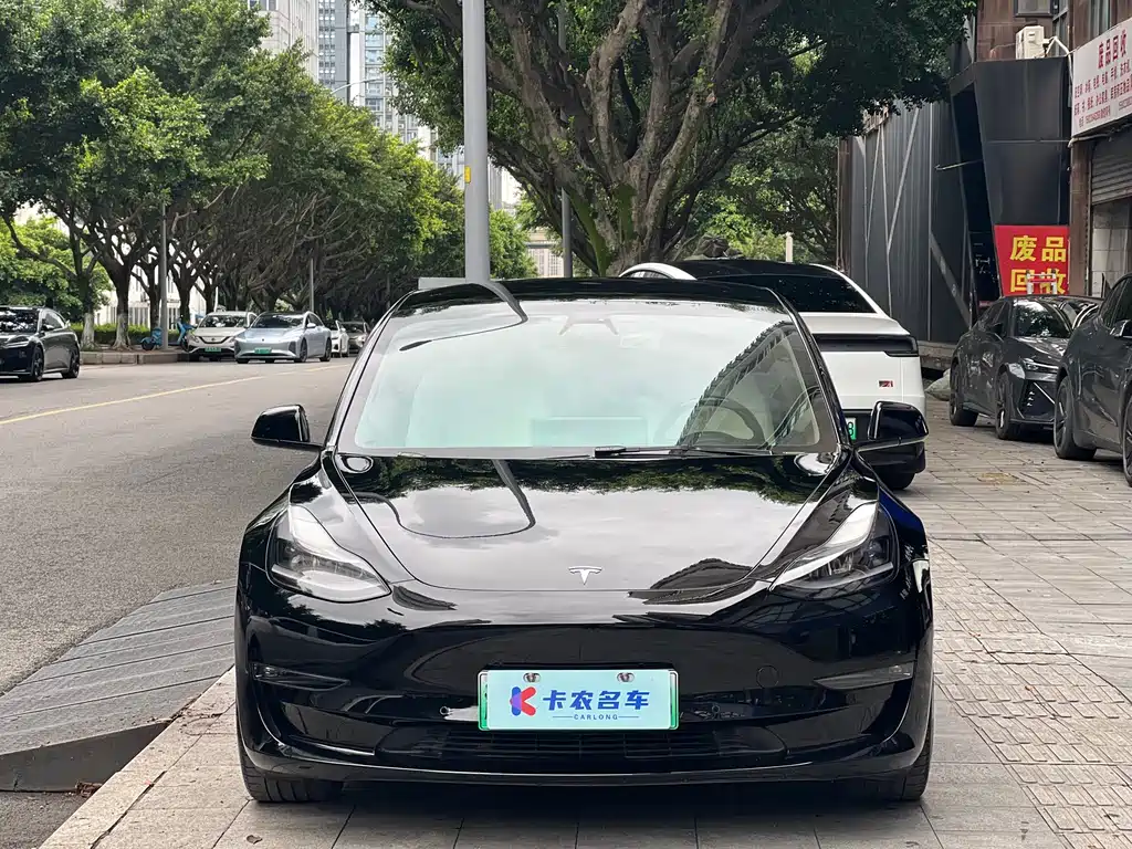 Tesla Model 3 2021 Performance