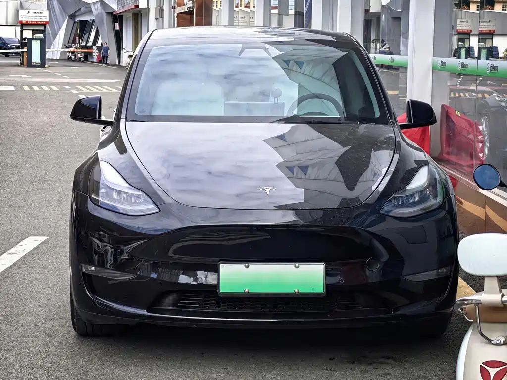 Tesla Model Y — миниатюра 2