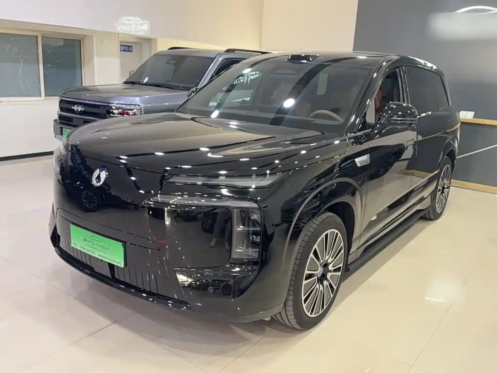 Denza Denza N8L — миниатюра 2
