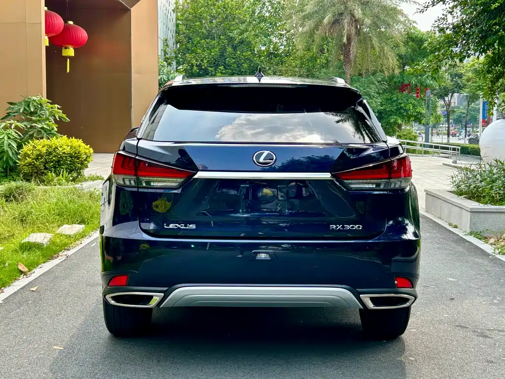Lexus RX 2020 300 Elegant VI