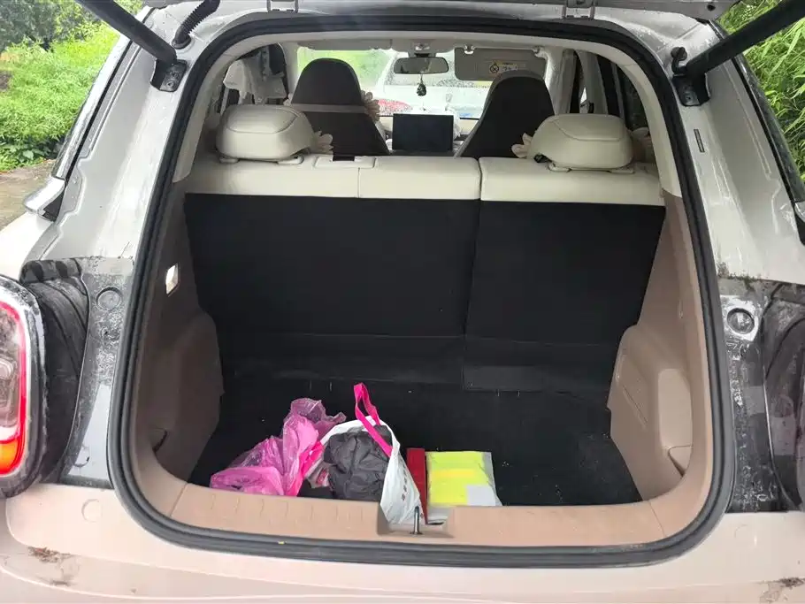 Wuling BinguoPro Pro 2026 330km Premium