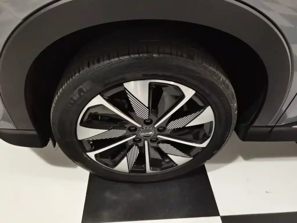 BYD PLUS New Energy — миниатюра 23